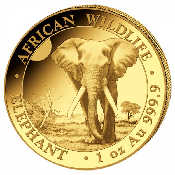 1 Unze (oz) Gold  Somalia Elefant 2025