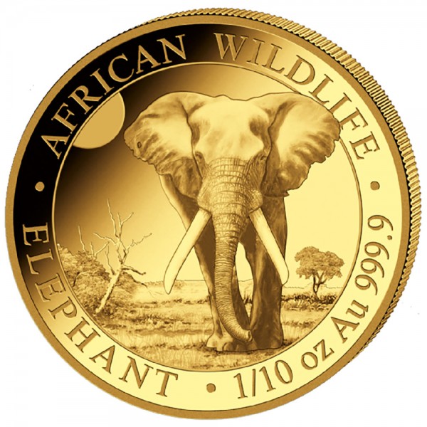 1/10 Unze (oz) Gold  Somalia Elefant 2025