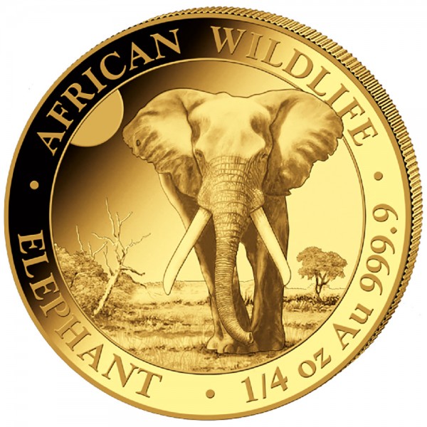 1/4 Unze (oz) Gold Somalia Elefant 2025